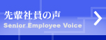 yЈ̐ Senior Employee Voice