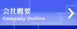 ЊTv Company Outline
