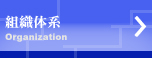gĎn Organizational Framework
