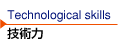 Technological skills Zp