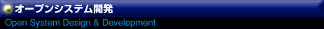 I[vVXeJ Open System Design & Development